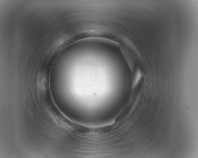 X0000083000596200702011457