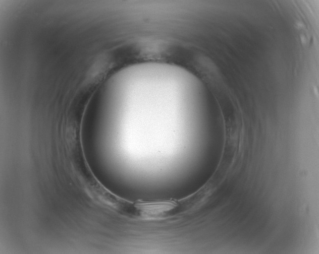 X0000083000603200702011457