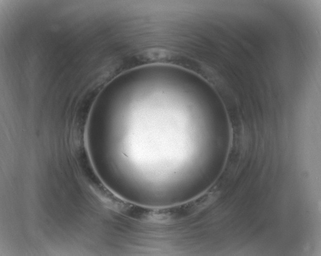 X0000083000606200702011456