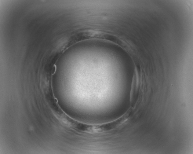X0000083000607200702011456