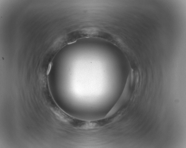 X0000083000609200702011456