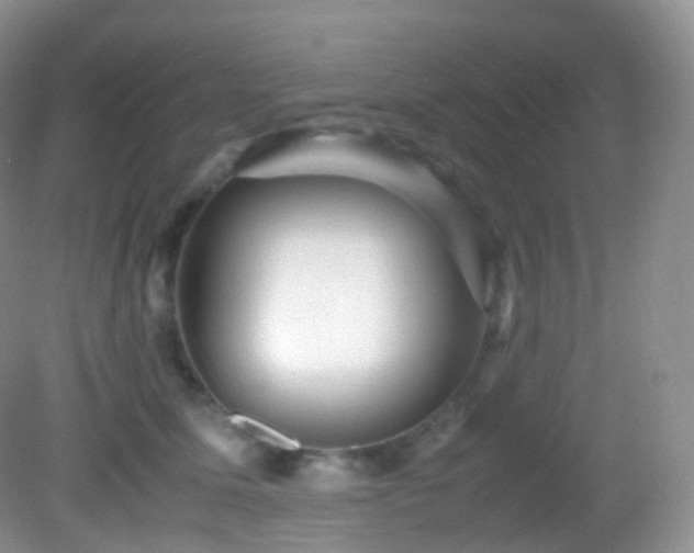 X0000083000611200702011456