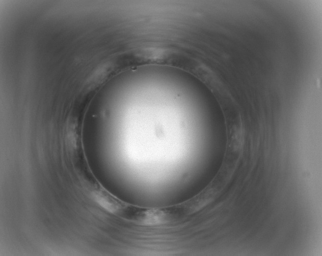 X0000083000612200702011456