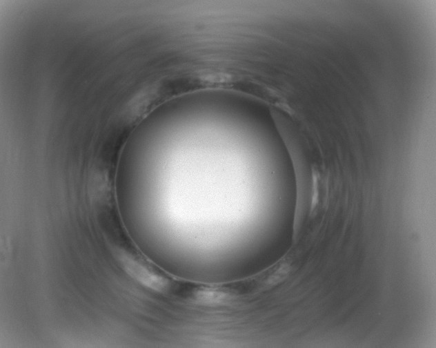 X0000083000614200702011456