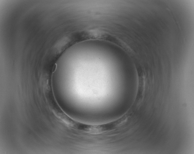 X0000083000615200702011456