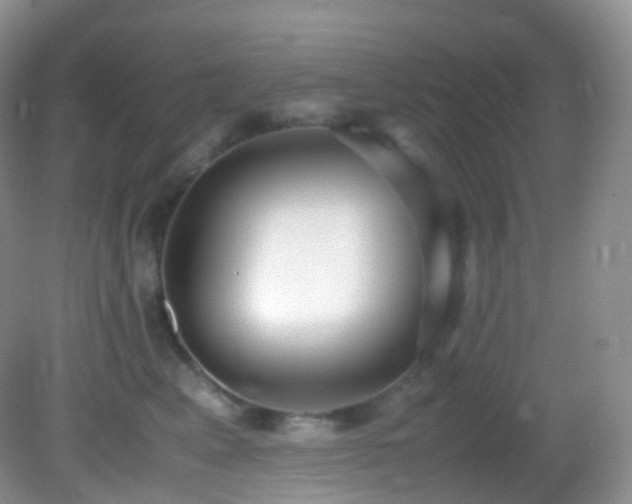 X0000083000617200702011456