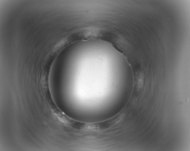 X0000083000619200702011456