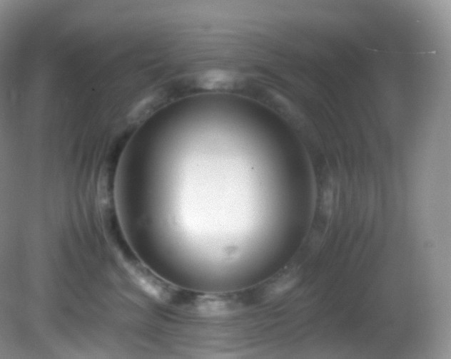 X0000083000620200702011456