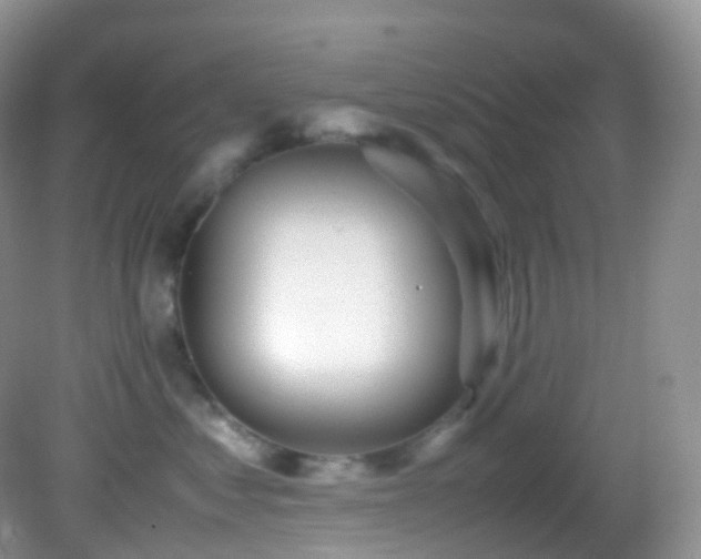 X0000083000621200702011456