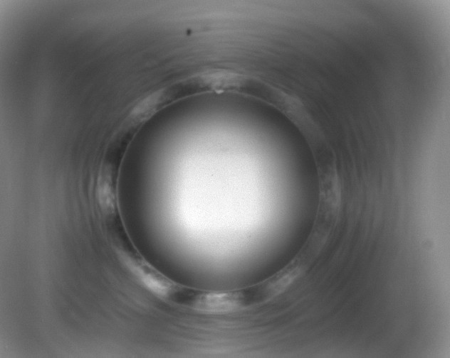 X0000083000622200702011456