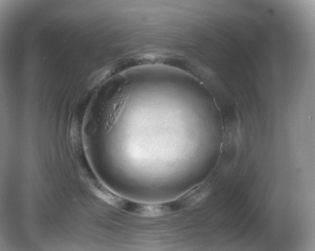 X0000083000623200702011456