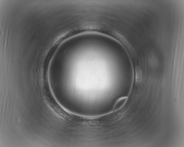 X0000083000627200702011455