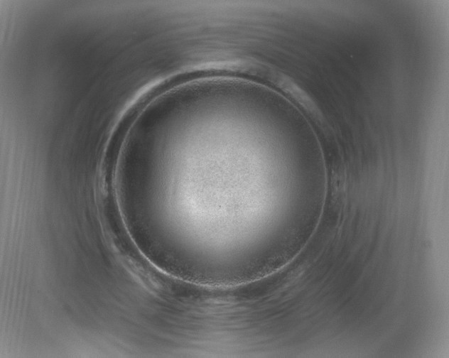 X0000083000628200702011455