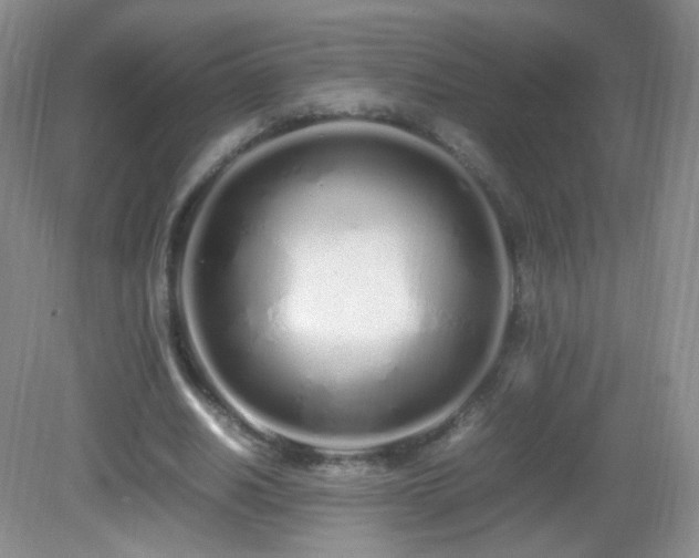 X0000083000630200702011455