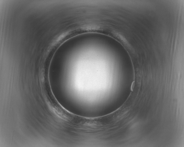 X0000083000631200702011455