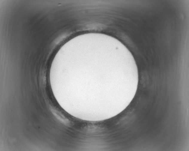 X0000083000632200702011455