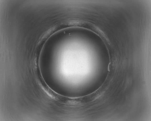 X0000083000633200702011456