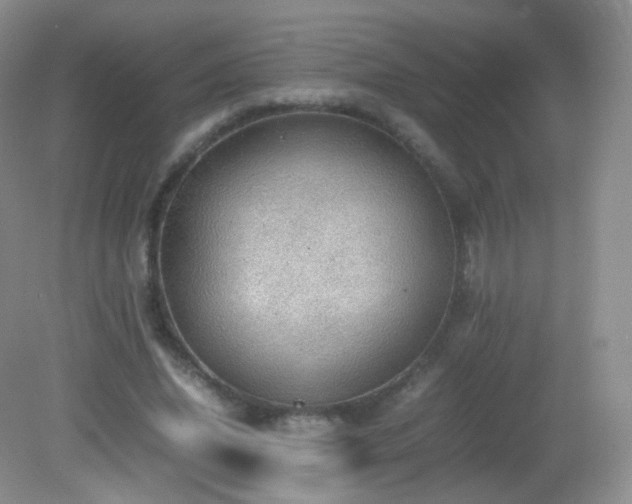 X0000083000636200702011456