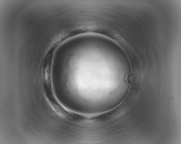 X0000083000638200702011456