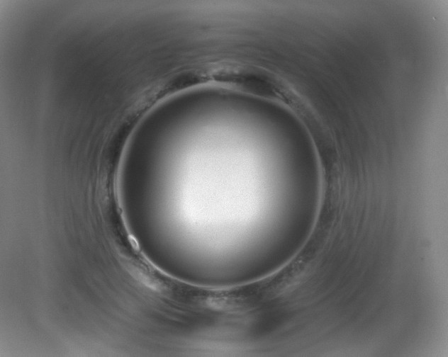 X0000083000641200702011456