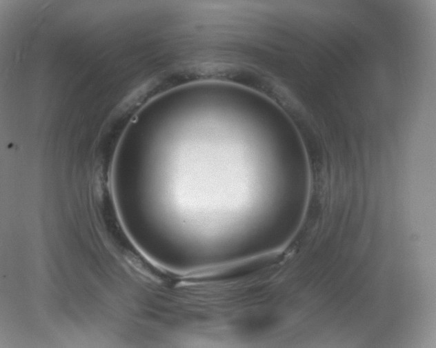 X0000083000644200702011456