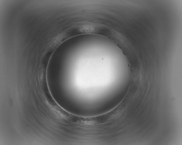 X0000083000645200702011456