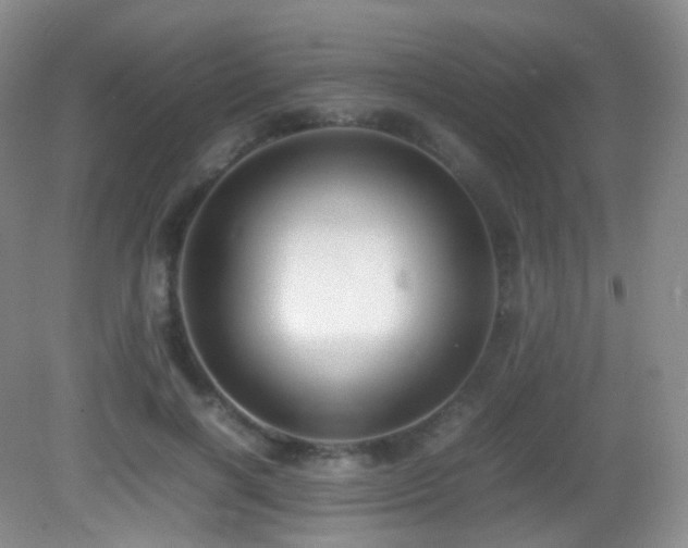 X0000083000646200702011456
