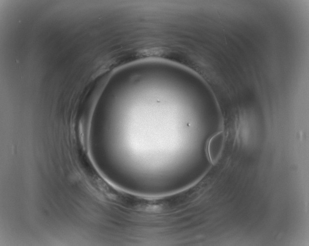 X0000083000647200702011456
