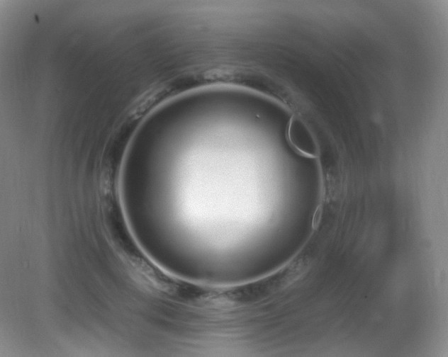 X0000083000648200702011456