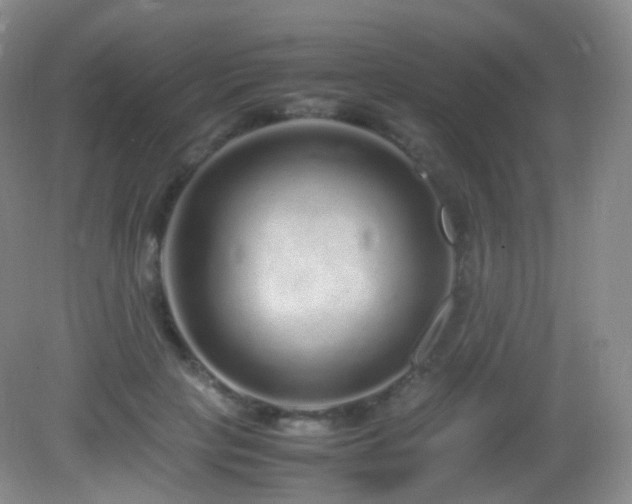 X0000083000649200702011456