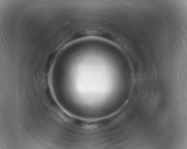 X0000083000653200702011456