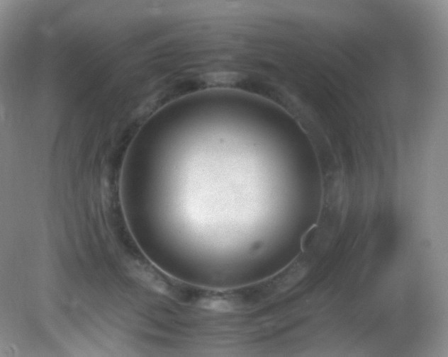 X0000083000655200702011456