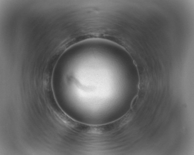 X0000083000656200702011456
