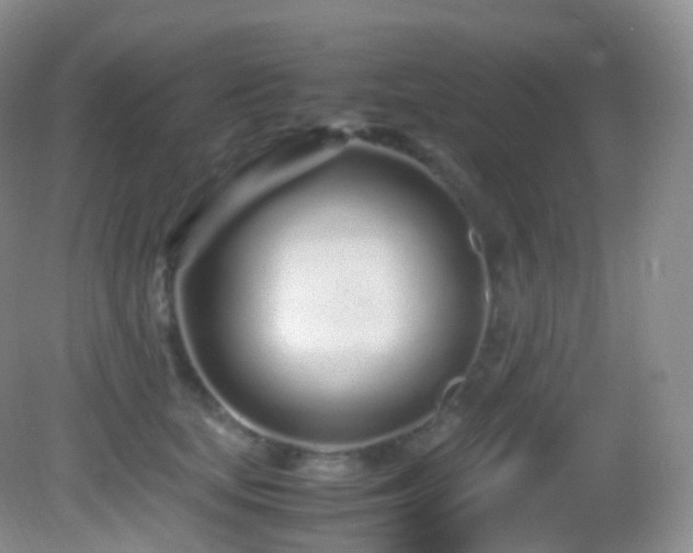 X0000083000659200702011456