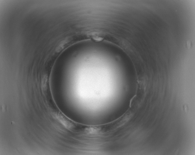 X0000083000660200702011456