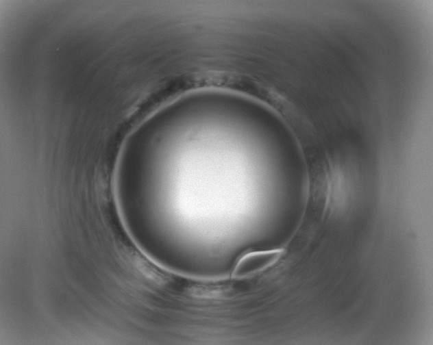 X0000083000661200702011456