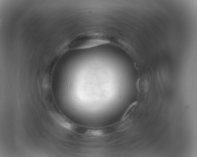 X0000083000665200702011456