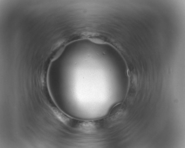 X0000083000668200702011456