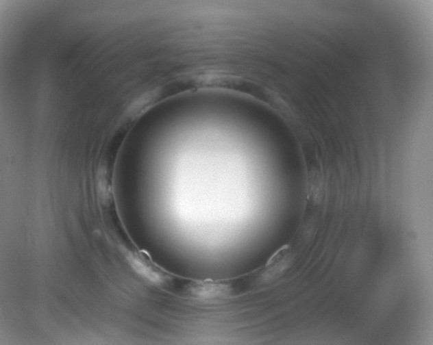 X0000083000670200702011456
