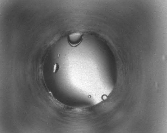 X0000083000672200702011456