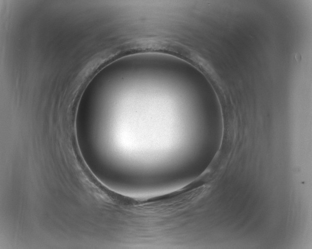 X0000083000673200702011455