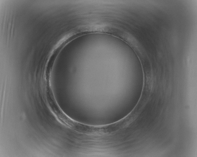X0000083000674200702011455