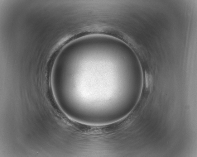 X0000083000675200702011455