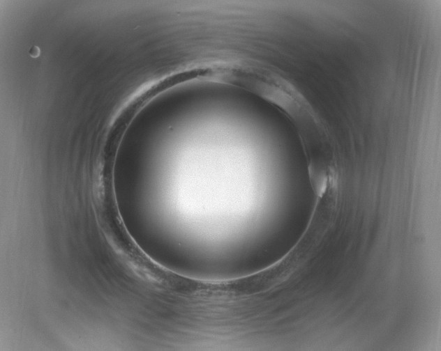 X0000083000676200702011455