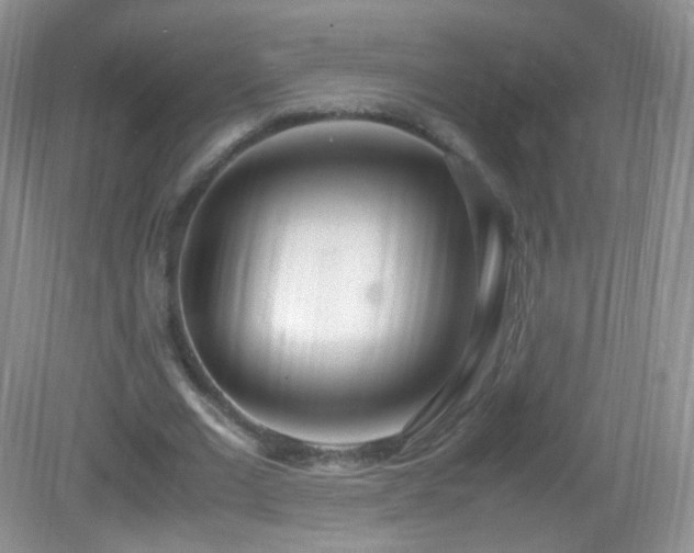 X0000083000677200702011455