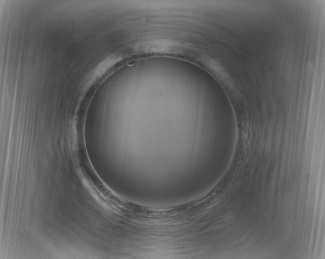 X0000083000678200702011455