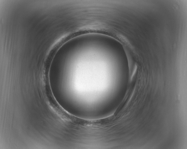 X0000083000680200702011455