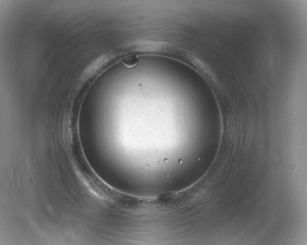 X0000083000682200702011455