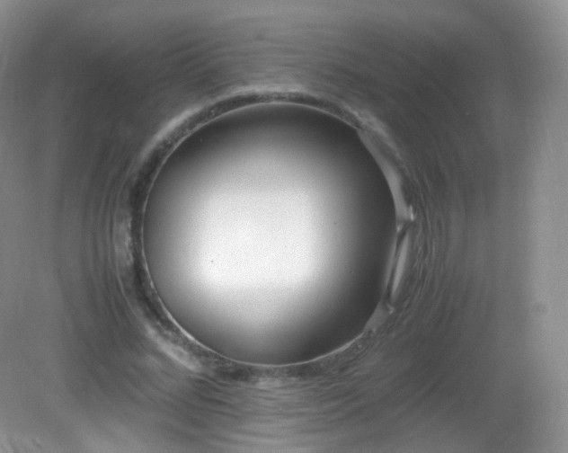 X0000083000684200702011455