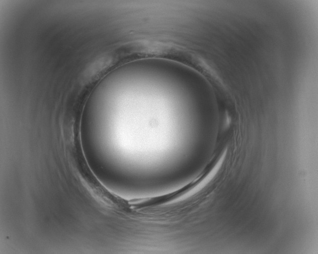 X0000083000685200702011455